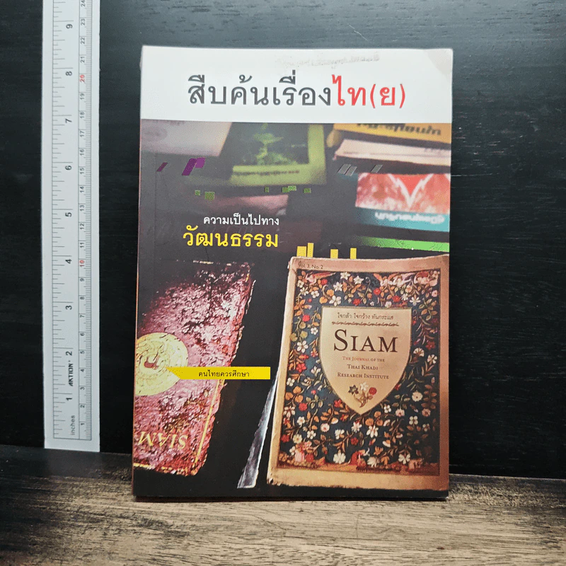 สืบค้นเรื่องไท(ย) รูปที่ 1