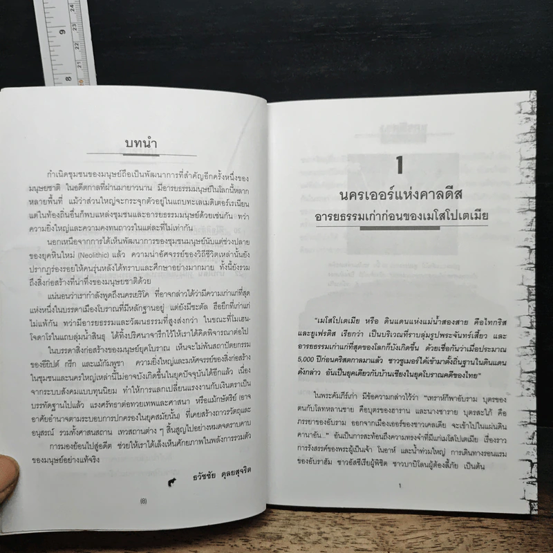 นครพิศวง - ธวัชชัย ดุลยสุจริต รูปที่ 8