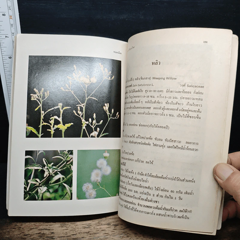 การใช้สมุนไพร เล่ม 2 รูปที่ 10
