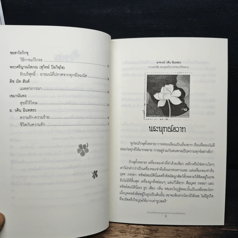 ความจริง เกี่ยวกับ ความรัก ความโกรธและความเมตตา รูปที่ 8
