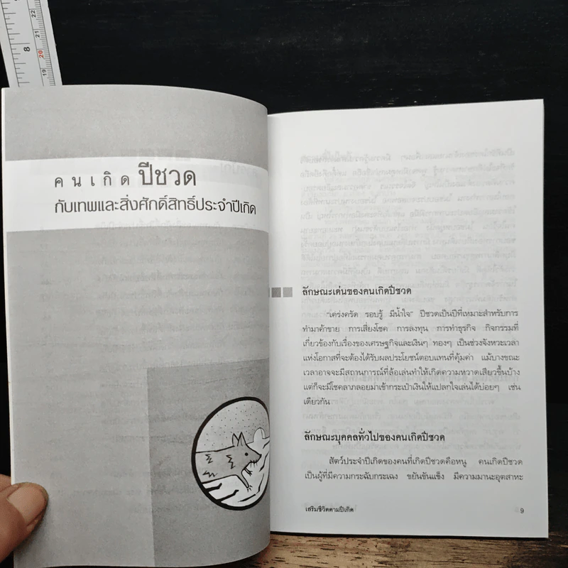 ไหว้เทพสิ่งศักดิ์สิทธิ์ เสริมชีวิตตามปีเกิด - พงษ์ ณ พัฒน์ รูปที่ 8