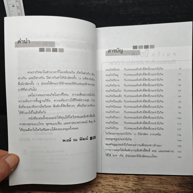 ไหว้เทพสิ่งศักดิ์สิทธิ์ เสริมชีวิตตามปีเกิด - พงษ์ ณ พัฒน์ รูปที่ 7