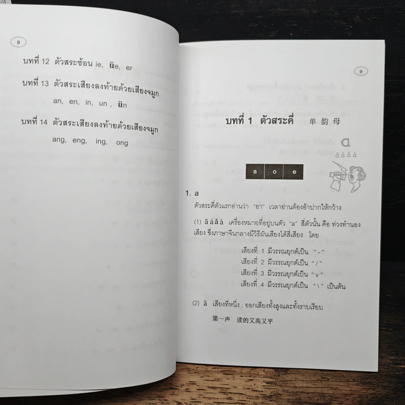 ความรู้เบื้องต้นเกี่ยวกับการออกเสียง ภาษาจีนกลางแบบรวบรัดตามวิธีของ Hanyu Pinyin รูปที่ 8