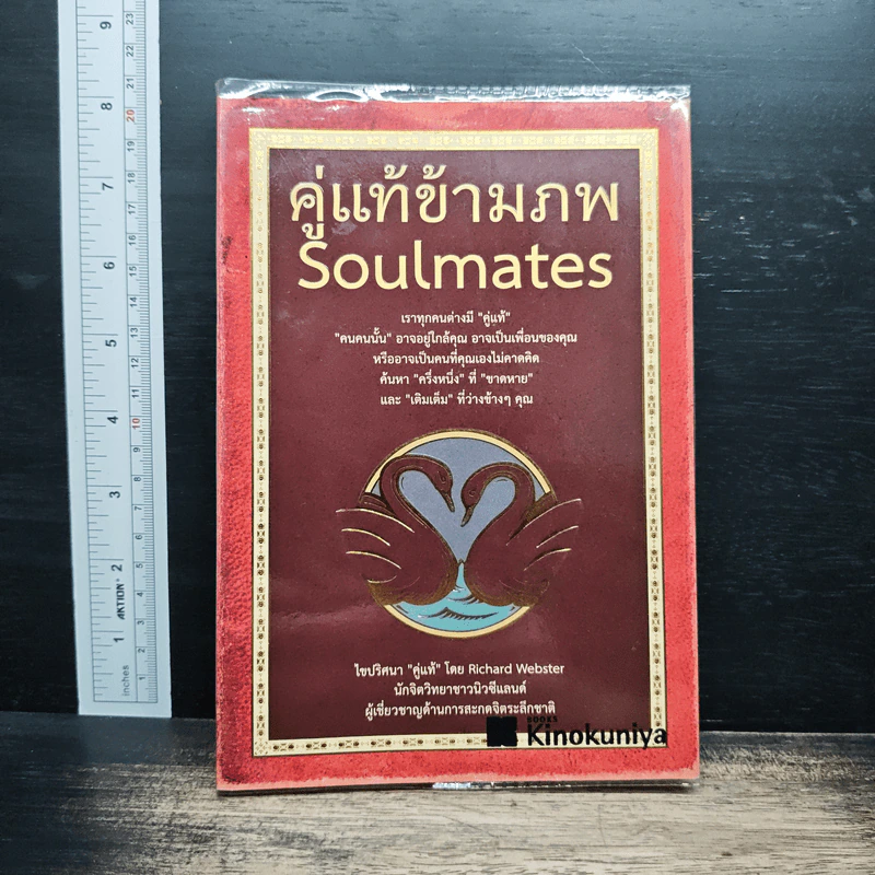 คู่แท้ข้ามภพ Soulmates - Richard Webster รูปที่ 1