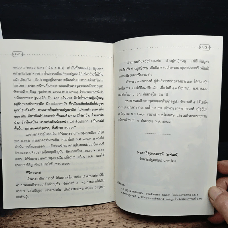 พระปฐมเจดีย์ รูปที่ 8