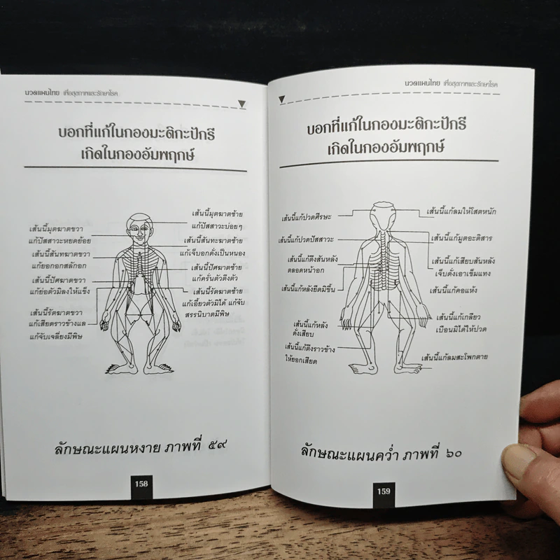 นวดแผนไทยเพื่อสุขภาพและรักษาโรค - ช.พรหมาตร์ รูปที่ 10