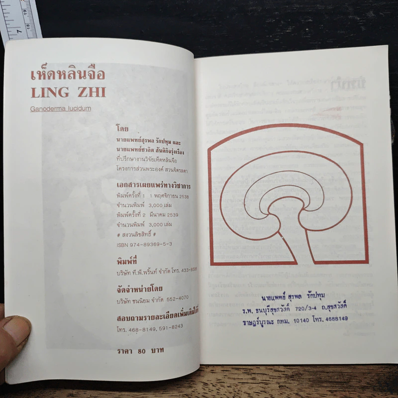 เห็ดหลินจือ Ling Zhi - นายแพทย์สุรพล รักปทุม, นายแพทย์ชวลิต สันติกิจรุ่งเรือง รูปที่ 6