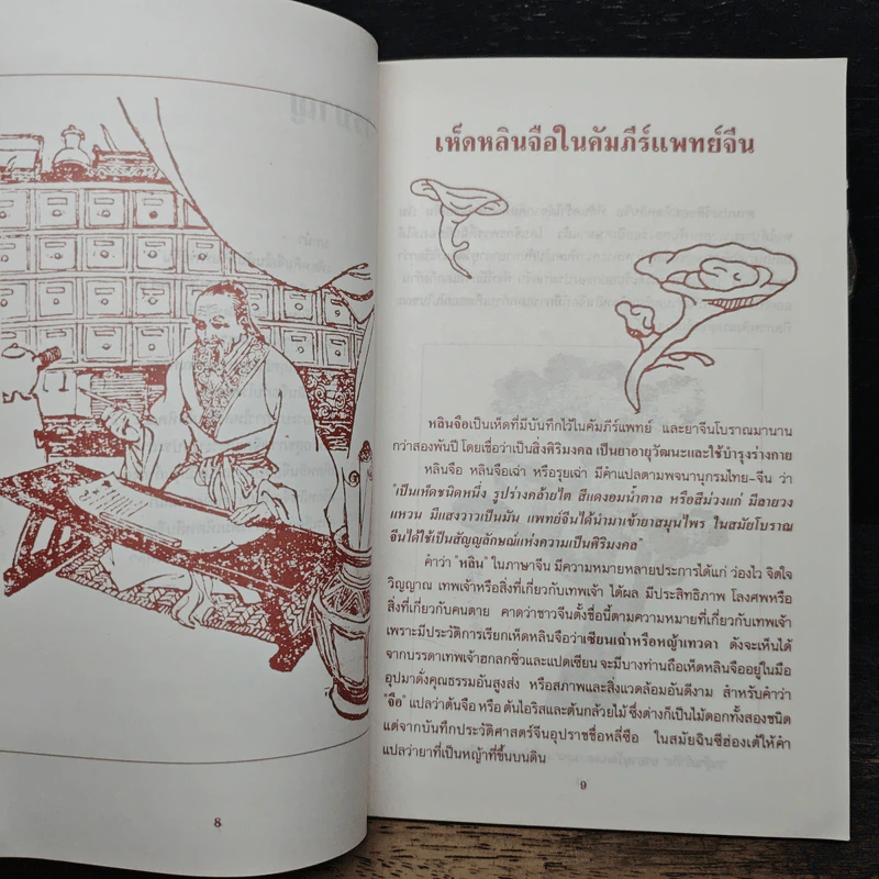 เห็ดหลินจือ Ling Zhi - นายแพทย์สุรพล รักปทุม, นายแพทย์ชวลิต สันติกิจรุ่งเรือง รูปที่ 9