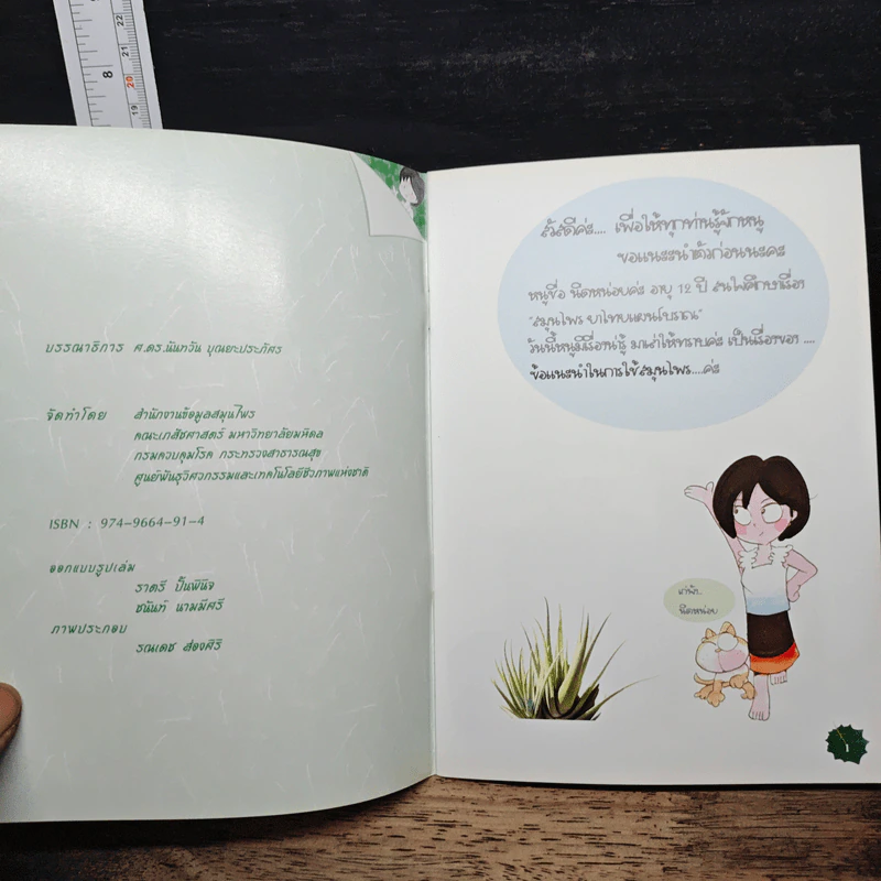 ข้อแนะนำในการใช้สมุนไพร รูปที่ 6