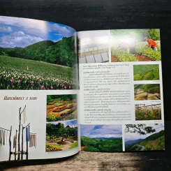 ดอยตุง - มูลนิธิแม่ฟ้าหลวง รูปที่ 6