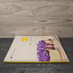May Made Volume 1 Cake Book - กุลพัชร์ กนกวัฒนาวรรณ รูปที่ 2