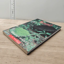 สมาธิและวิปัสสนา ในชีวิตประจำวัน เล่ม 3 วิธีคลายกามฉันทะ - พร รัตนสุวรรณ รูปที่ 3