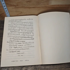 นายกรัฐมนตรีในฝัน รูปที่ 9