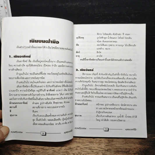 ความรัก การงาน มองจากฝ่ามือ - ชิน วัฒนผาสุกานนท์ รูปที่ 9
