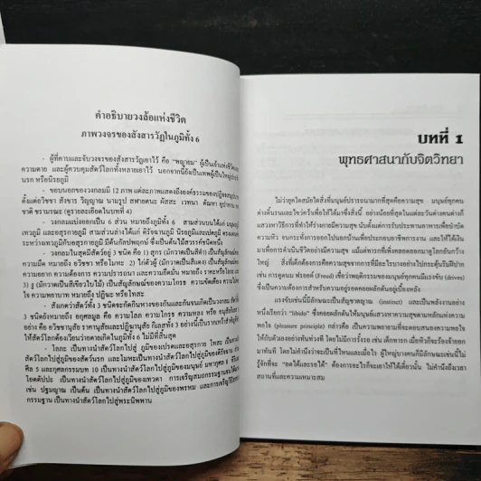 จิตวิทยาของความดับทุกข์ - จําลอง ดิษยวณิช รูปที่ 11