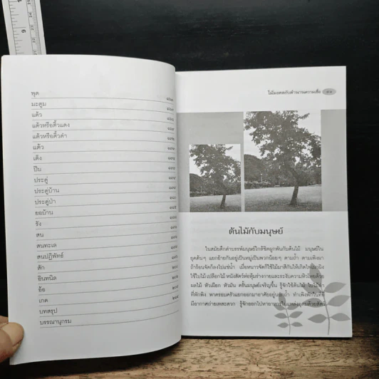 ไม้มงคลกับตำนานความเชื่อ - ณรงค์ มูลคำ รูปที่ 8