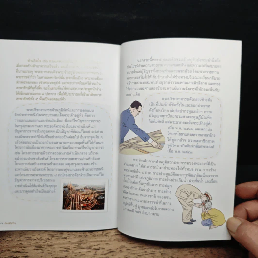 อัครศิลปิน การ์ตูนในหลวงร.9 รูปที่ 9