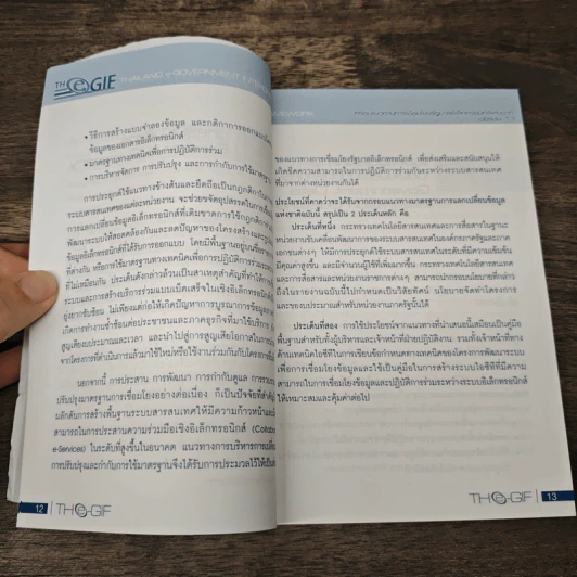 กรอบแนวทางการเชื่อมโยงรัฐบาลอิเล็กทรอนิกส์แห่งชาติ รูปที่ 8