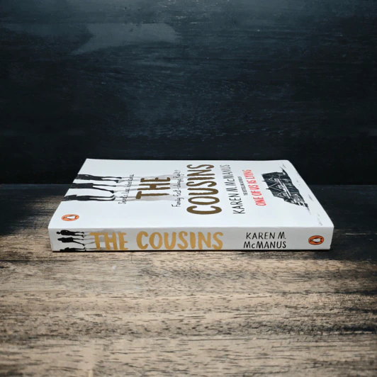 The Cousins - Karen M. McManus รูปที่ 3