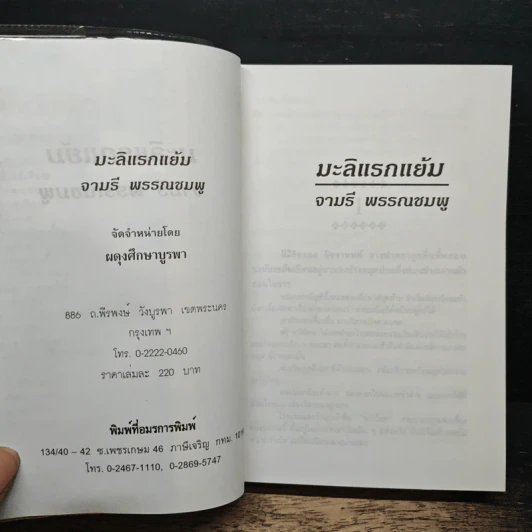 มะลิแรกแย้ม - จามรี พรรณชมพู รูปที่ 6