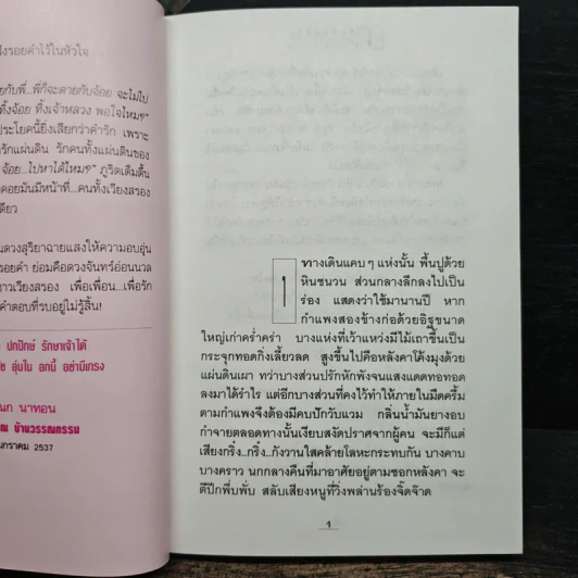 โสมส่องแสง 2 เล่มจบ - โรสลาเรน รูปที่ 7