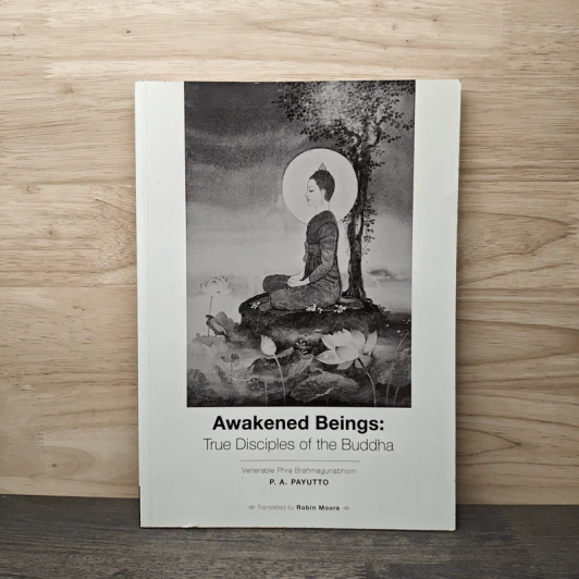 Awakened Beings : True Disciples of the Buddha รูปที่ 1