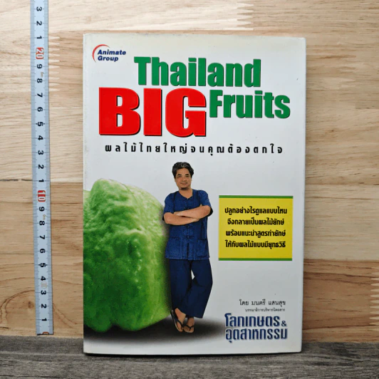 Thailand Big Fruits ผลไม้ไทยใหญ่จนคุณต้องตกใจ - มนตรี แสนสุข รูปที่ 1