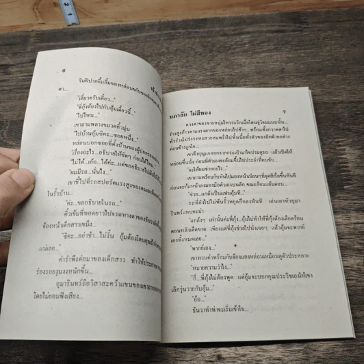 เจ้าบ่าวจำเป็น - นภาลัย ไผ่สีทอง รูปที่ 7