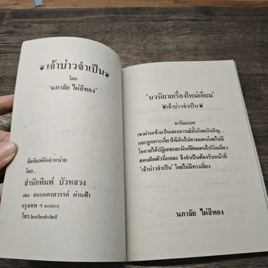 เจ้าบ่าวจำเป็น - นภาลัย ไผ่สีทอง รูปที่ 6