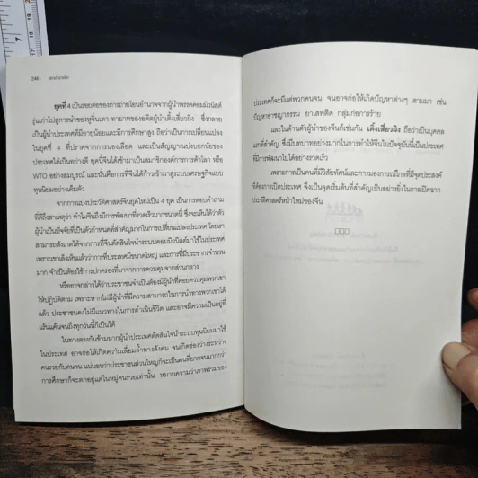 มหาอำนาจจีน - นริศรา พลายมาศ รูปที่ 10
