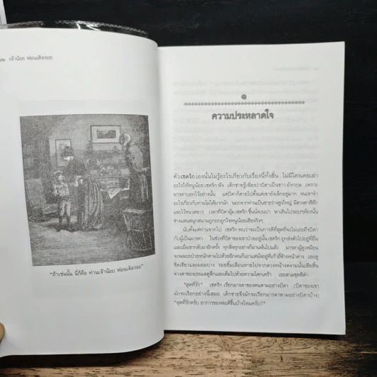 เจ้าน้อย ฟอนเติลรอย - ฟรานเซส ฮอดจ์สัน เบอร์เนตต์ รูปที่ 9
