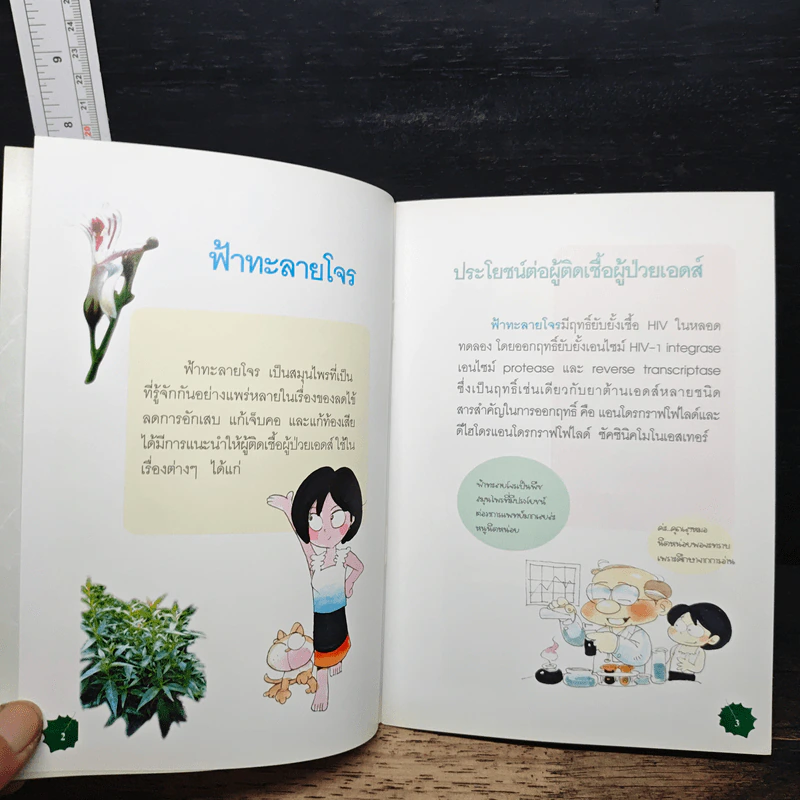ฟ้าทะลายโจร รูปที่ 7