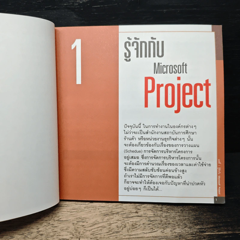 เริ่มต้นใช้งาน Microsoft Project 200 - ณาตยา ฉาบนาค รูปที่ 9