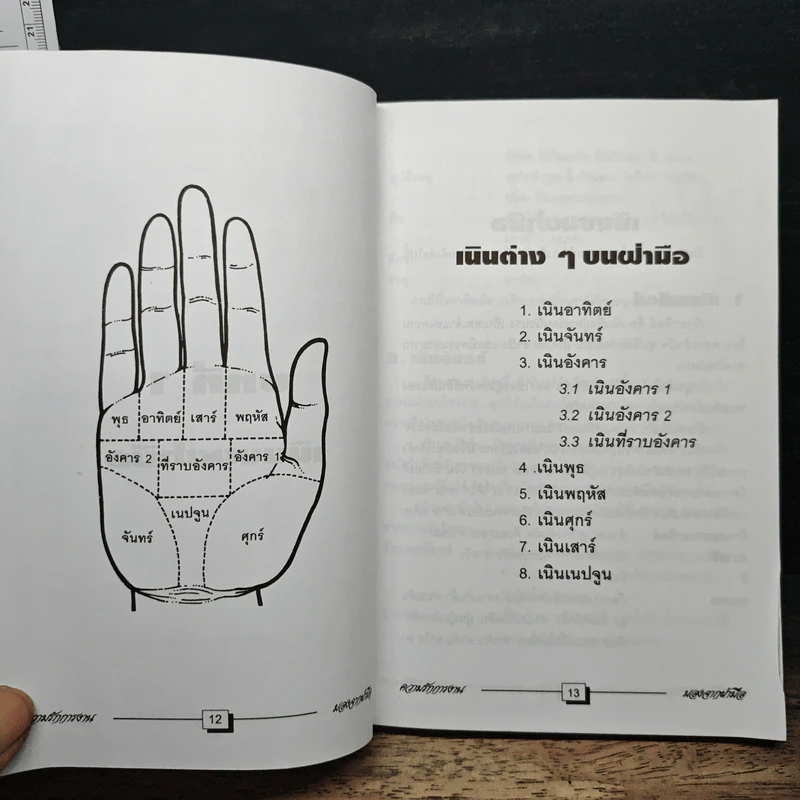 ความรัก การงาน มองจากฝ่ามือ - ชิน วัฒนผาสุกานนท์ รูปที่ 8