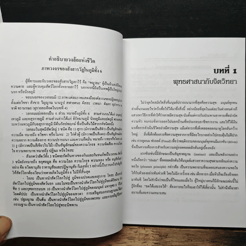 จิตวิทยาของความดับทุกข์ - จําลอง ดิษยวณิช รูปที่ 11