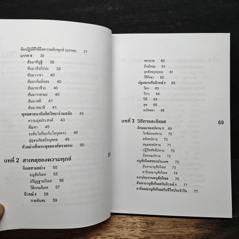 จิตวิทยาของความดับทุกข์ - จําลอง ดิษยวณิช รูปที่ 8
