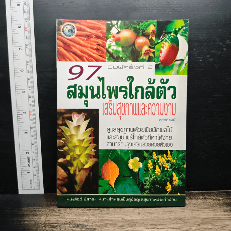 97 สมุนไพรใกล้ตัว เสริมสุขภาพและความงาม - สุภัคภิรมย์ รูปที่ 1