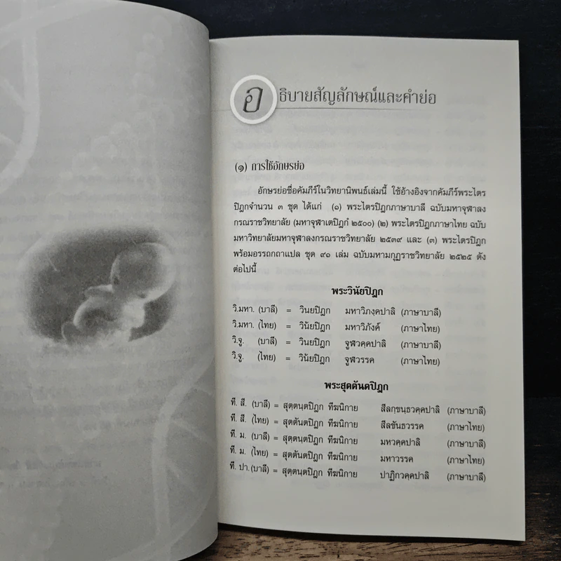 การศึกษาวิเคราะห์ปาณาติปาตาในเซลล์มนุษย์และตัวอ่อนมนุษย์ - นายแพทย์ปุณวัสส์ กิตติมานนท์ รูปที่ 8