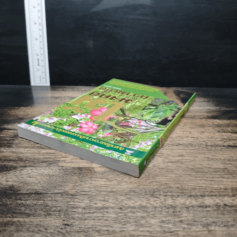ไม้มงคลกับตำนานความเชื่อ - ณรงค์ มูลคำ รูปที่ 5