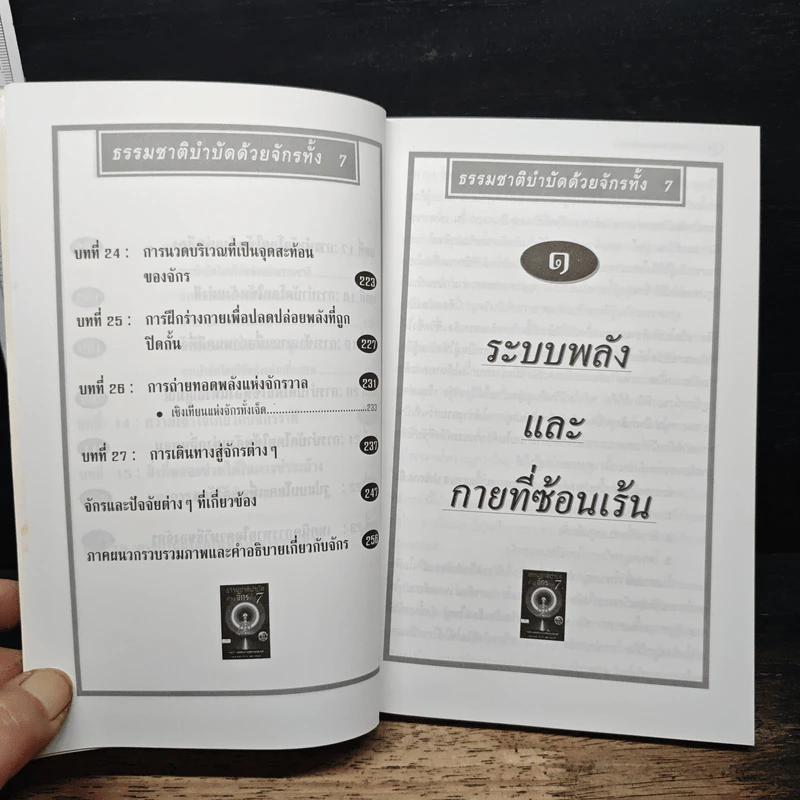 ธรรมชาติบำบัดด้วยจักรทั้ง 7 - อ.อำพัน จรัสแสง แปล รูปที่ 11