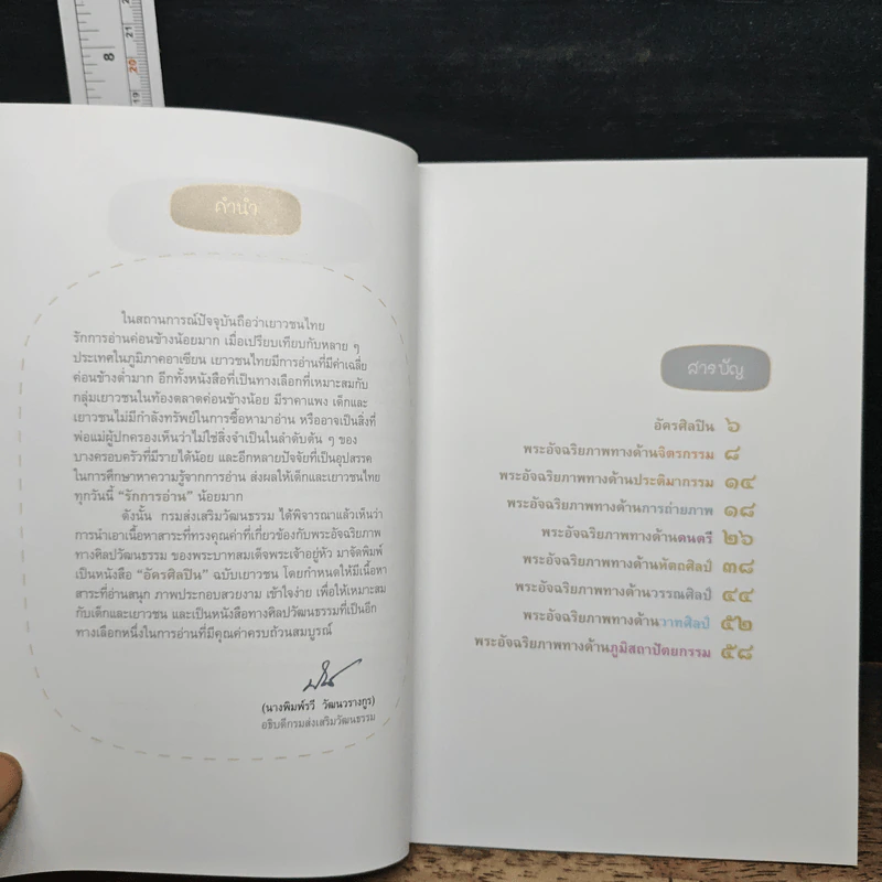 อัครศิลปิน การ์ตูนในหลวงร.9 รูปที่ 6