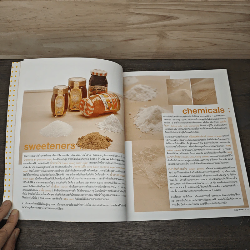 May Made Volume 1 Cake Book - กุลพัชร์ กนกวัฒนาวรรณ รูปที่ 7