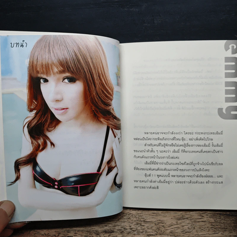 เอ็มมี่กะเทยแห่งปี - รัชฎา ครุฑทรามาศ รูปที่ 9