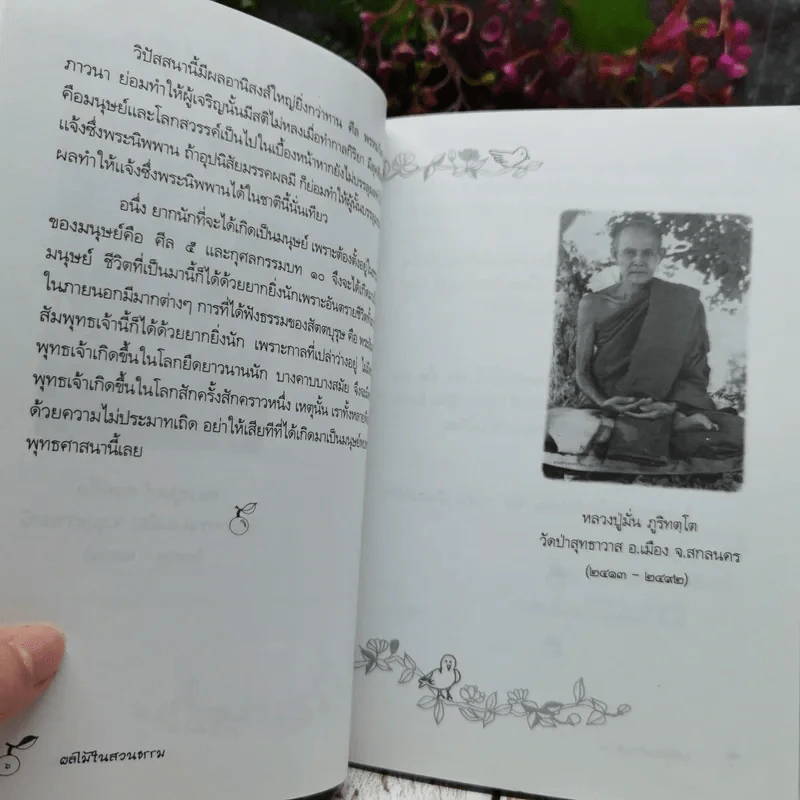 ผลไม้ในสวนธรรม อนุสรณ์ในงานพระราชทานเพลิงศพ คุณแม่มาลี พึ่งเกตุ รูปที่ 10