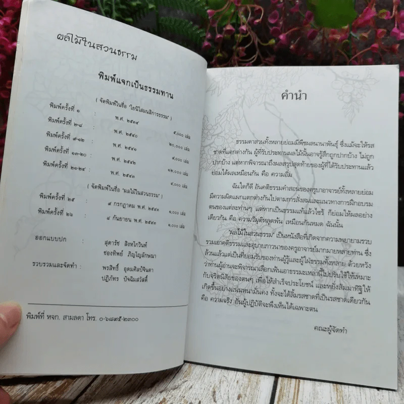 ผลไม้ในสวนธรรม อนุสรณ์ในงานพระราชทานเพลิงศพ คุณแม่มาลี พึ่งเกตุ รูปที่ 7