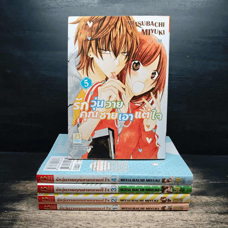 รักวุ่นวายคุณชายเอาแต่ใจ เล่ม 1-5 - Mitsubachi Yuki รูปที่ 1