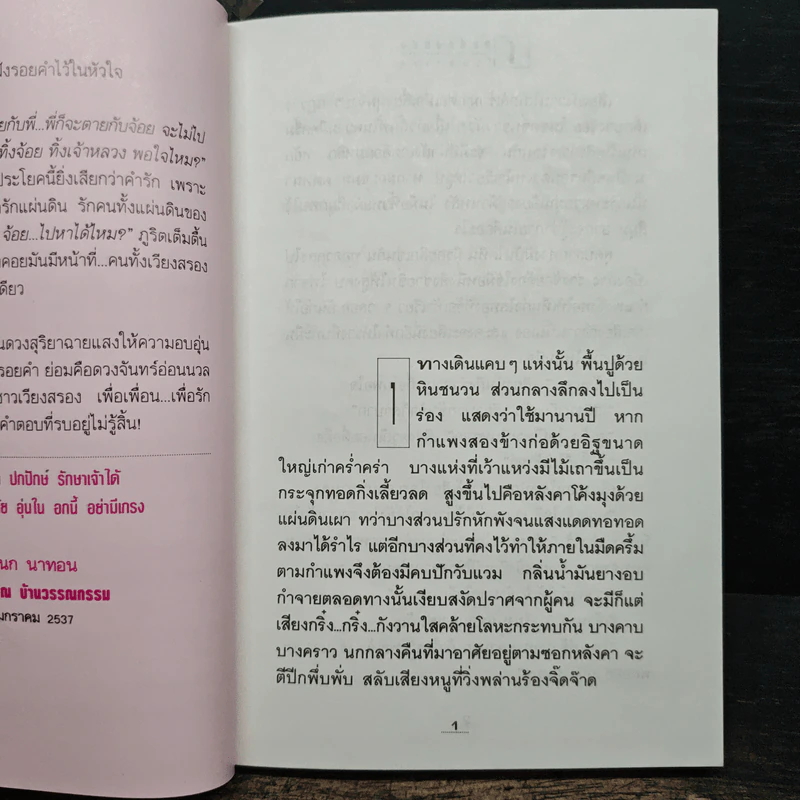 โสมส่องแสง 2 เล่มจบ - โรสลาเรน รูปที่ 7