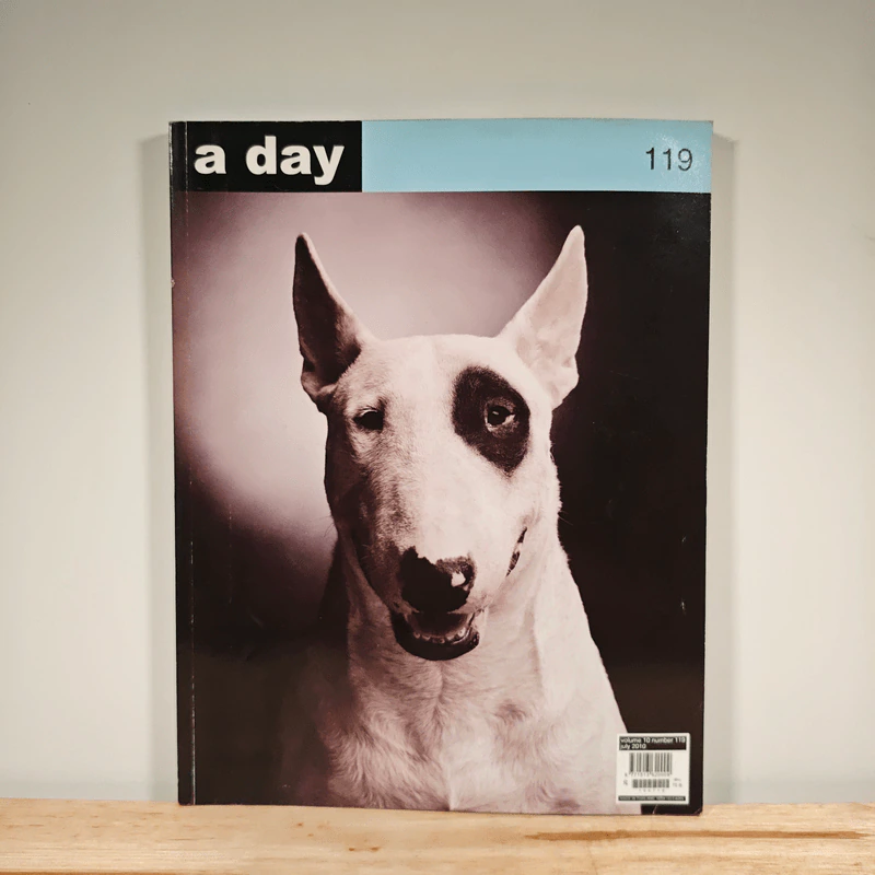a day 119 รูปที่ 1