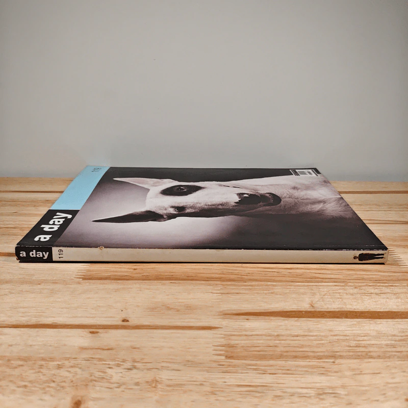 a day 119 รูปที่ 2