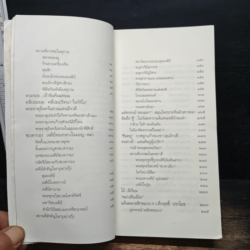 ท่องแดนเจดีย์ไพรในพุกามประเทศ - ธีรภาพ โลหิตกุล รูปที่ 9